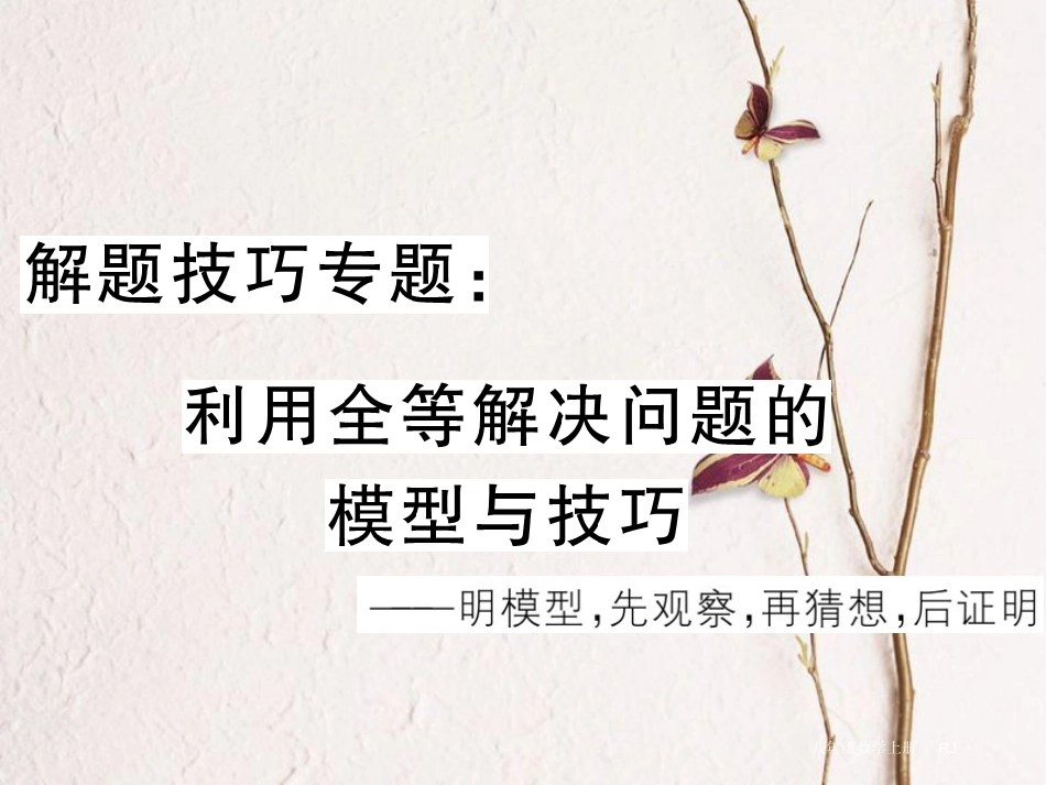 八年级数学上册 解题技巧专题 利用全等解决问题的模型与技巧课件 （新版）新人教版_第1页