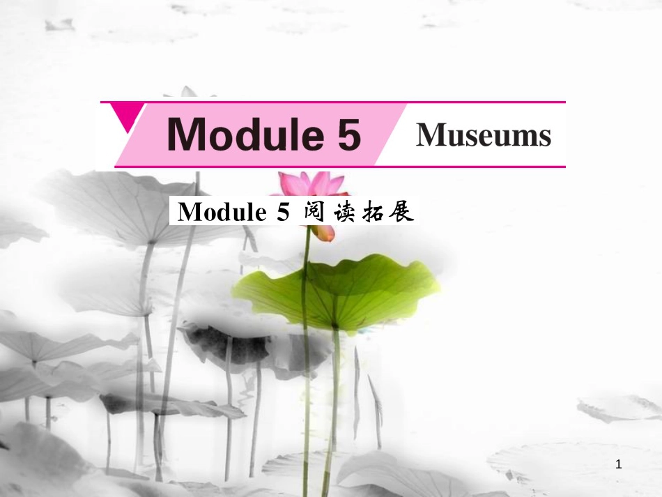 hznAAA九年级英语上册 Module 5 Museums阅读拓展课件 （新版）外研版_第1页