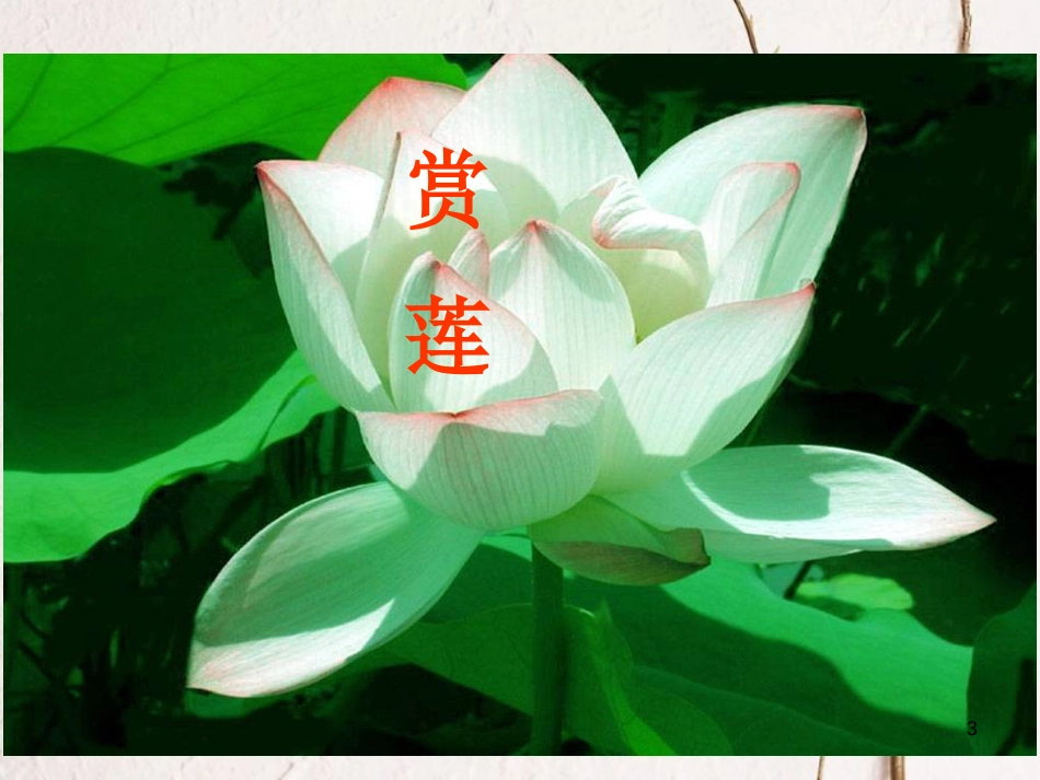 七年级语文下册 第四单元 16短文两篇《爱莲说》课件2 新人教版_第3页