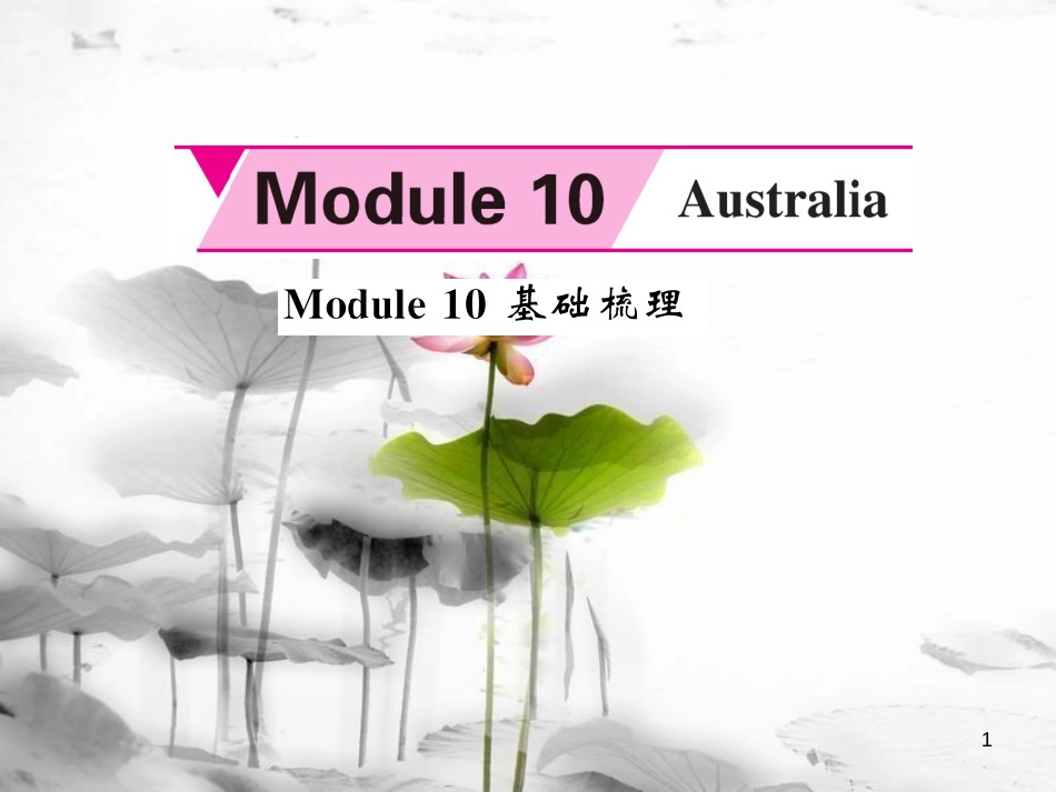 lddAAA九年级英语上册 Module 10 Australia基础梳理课件 （新版）外研版_第1页