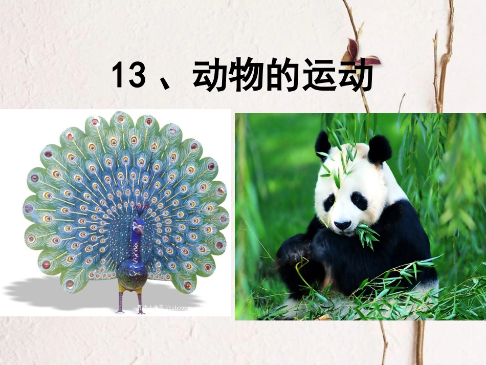 六年级科学上册 动物的运动课件2 青岛版[共9页]_第1页