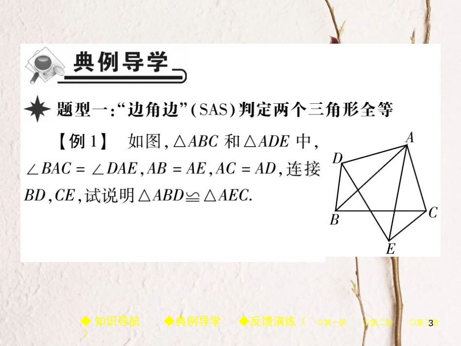 七年级数学下册 第四章 三角形 3 探究三角形全等的条件 第3课时 三角形全等的判定（SAS）课件 （新版）北师大版_第3页