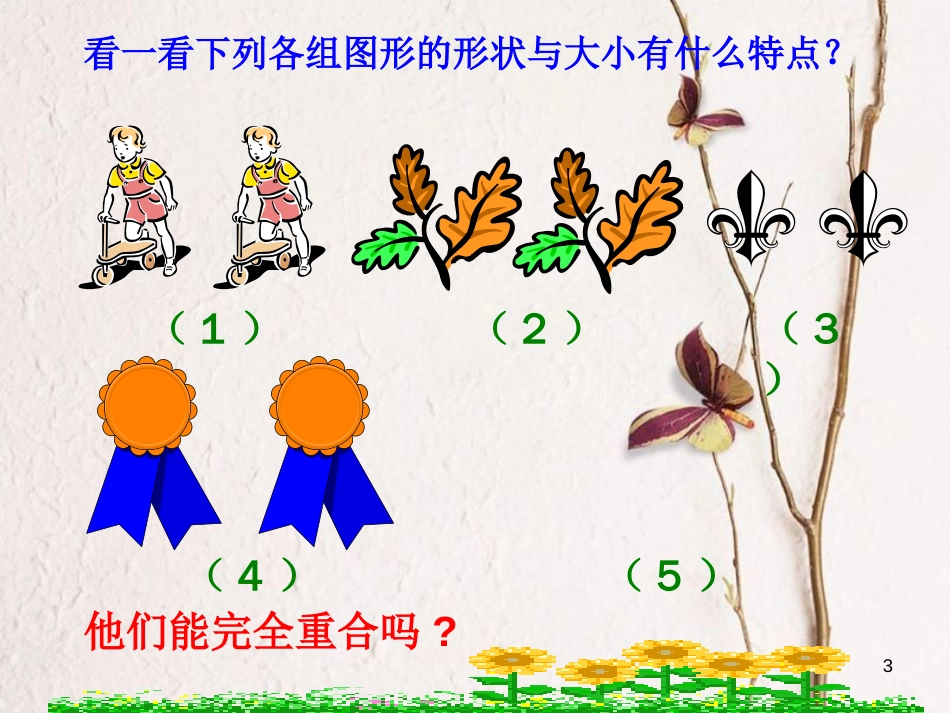 山东省潍坊高新技术产业开发区八年级数学上册 1.1 全等三角形课件 （新版）青岛版[共24页]_第3页