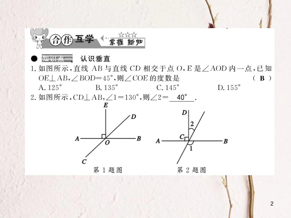 七年级数学下册 10.1 相交线 第2课时 垂线课件 （新版）沪科版_第2页