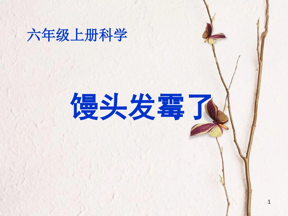 六年级科学上册 馒头发霉了课件3 青岛版[共10页]_第1页
