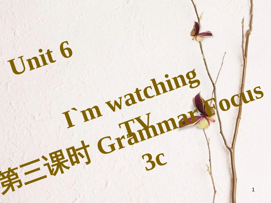 七年级英语下册 Unit 6 I’m watching TV（第3课时）Grammar Focus-3c习题课件 （新版）人教新目标版_第1页