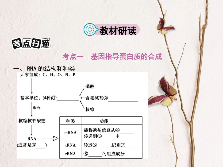 （新课标）高考生物一轮复习 遗传与进化 第5单元 遗传的细胞基础和分子基础 第15讲 基因的表达课件（必修2）[共33页]_第2页