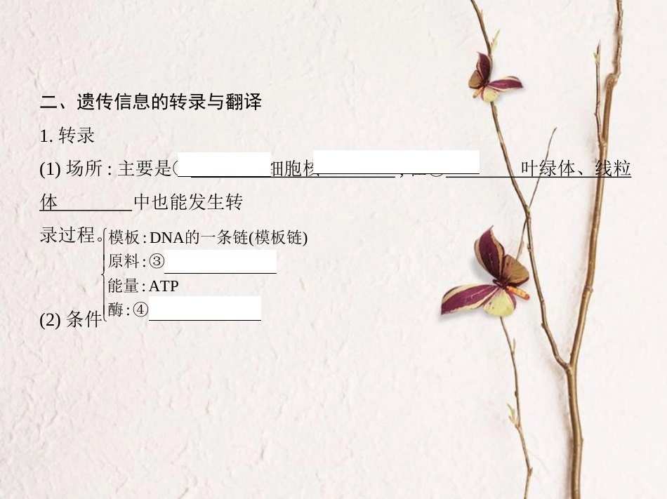（新课标）高考生物一轮复习 遗传与进化 第5单元 遗传的细胞基础和分子基础 第15讲 基因的表达课件（必修2）[共33页]_第3页
