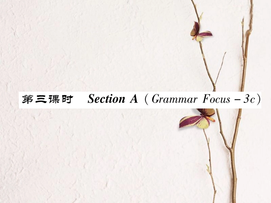 （成都专）八年级英语上册 Unit 9 Can you come to my party Section A（Grammar Focus-3c）作业课件 （新）人教新目标版_第1页