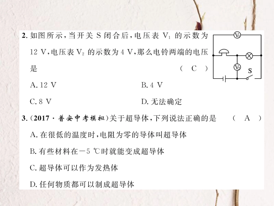 （黔西南地区）九年级物理全册 第16章 电压 电阻达标测试卷课件 （新）新人教_第3页