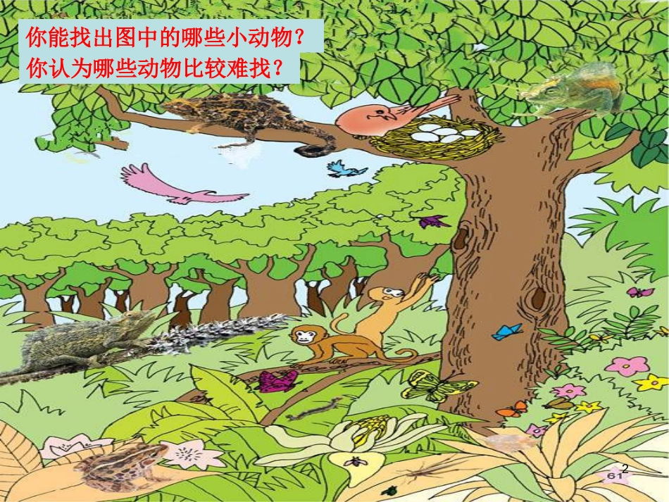 六年级科学上册 变色龙课件5 青岛版[共41页]_第2页