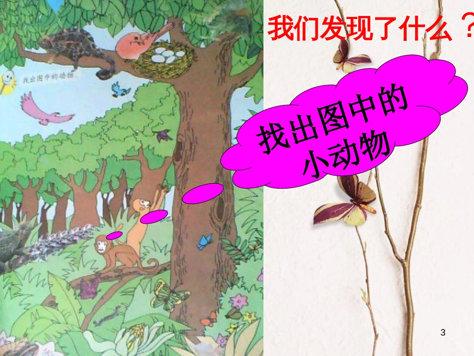 六年级科学上册 变色龙课件5 青岛版[共41页]_第3页