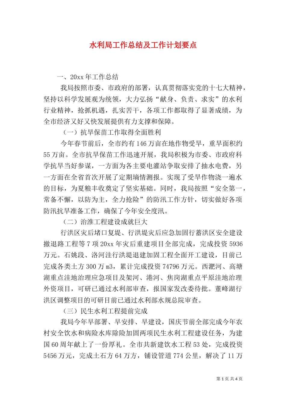 水利局工作总结及工作计划要点_第1页