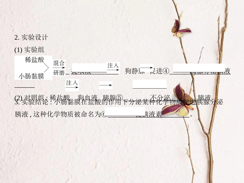 （新课标）高考生物一轮复习 稳态与环境 第8单元 生命活动的调节 第25讲 体液调节课件（必修3）[共40页]_第3页