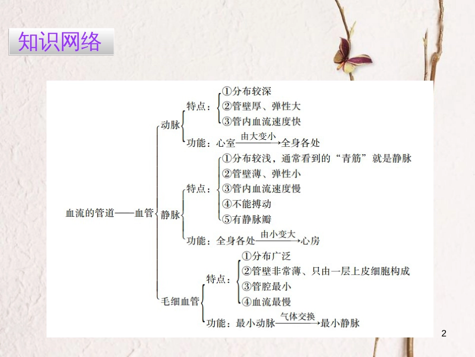 广东省七年级生物下册 第4章 第二节 血流的管道——血管导练课件 （新版）新人教版_第2页