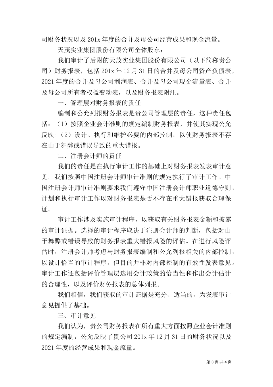 年度审计报告范本_第3页
