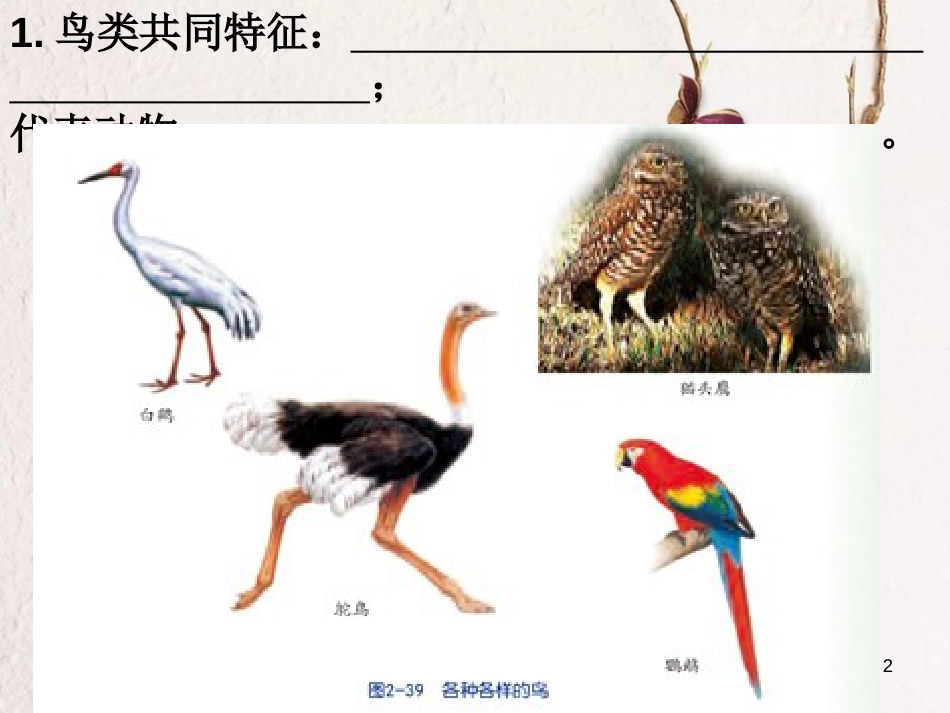 浙江省温州市苍南县龙港镇七年级科学上册 2.4.2 常见的动物课件 （新版）浙教版[共17页]_第2页