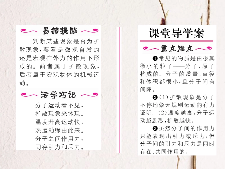 （黔西南地区）九年级物理全册 第13章 内能 第1节 分子的热运动习题课件 （新）新人教_第2页