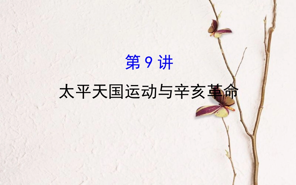 （通史）高考历史一轮复习 第三单元 近代中国反侵略、求民主的潮流 3.9 太平天国运动与辛亥革命课件 新人教_第1页