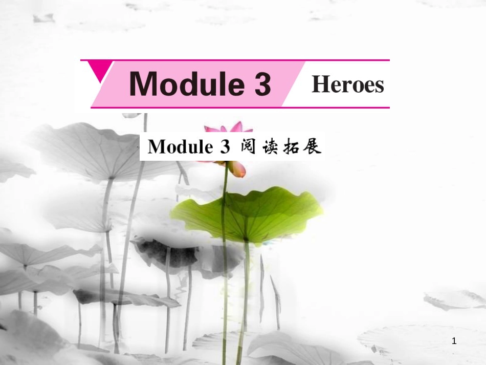 szyAAA九年级英语上册 Module 3 Heroes阅读拓展课件 （新版）外研版_第1页