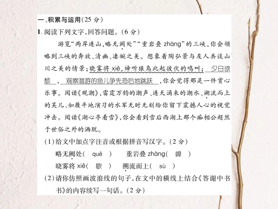 八年级语文上册 第六单元综合测试卷课件 （新版）新人教版[共21页]_第2页