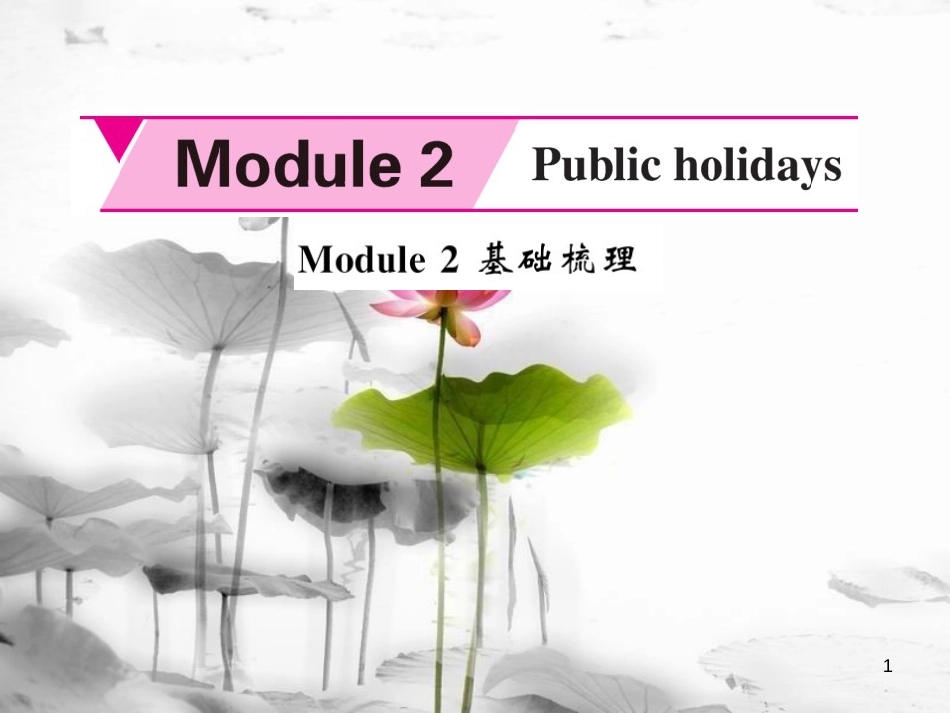 xbaAAA九年级英语上册 Module 2 Public holidays基础梳理课件 （新版）外研版_第1页