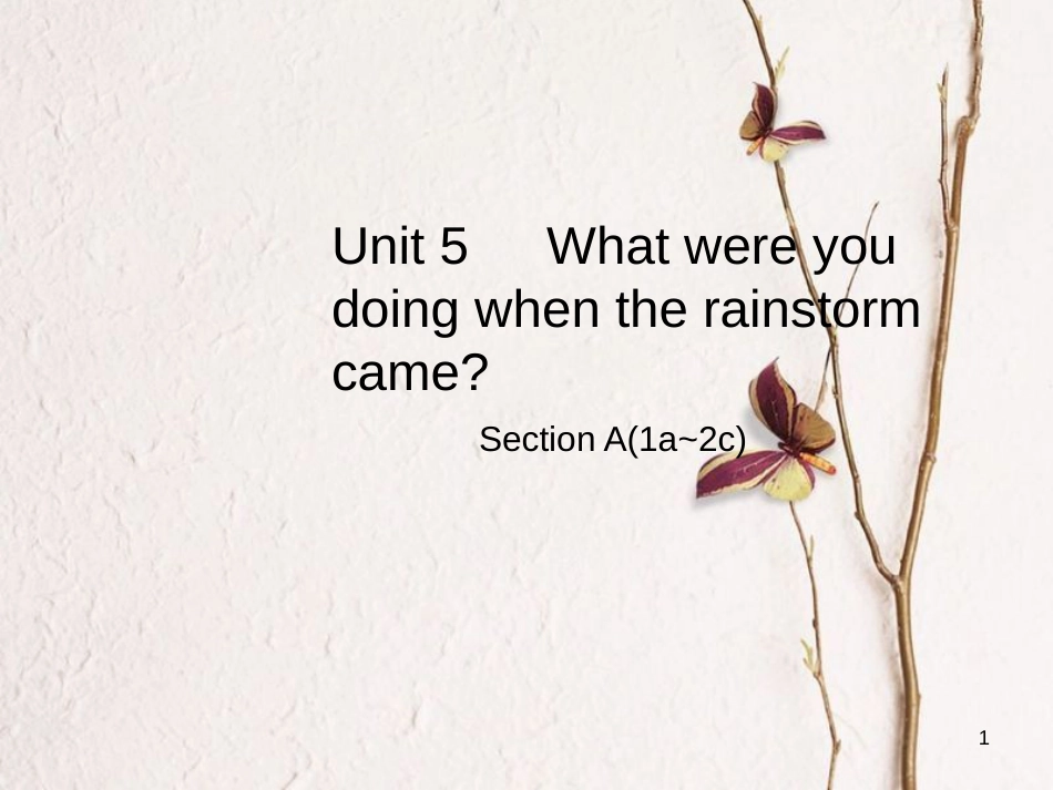 八年级英语下册 Unit 5 What were you doing when the rainstorm came Section A（1a-2c）课件 （新版）人教新目标版_第1页