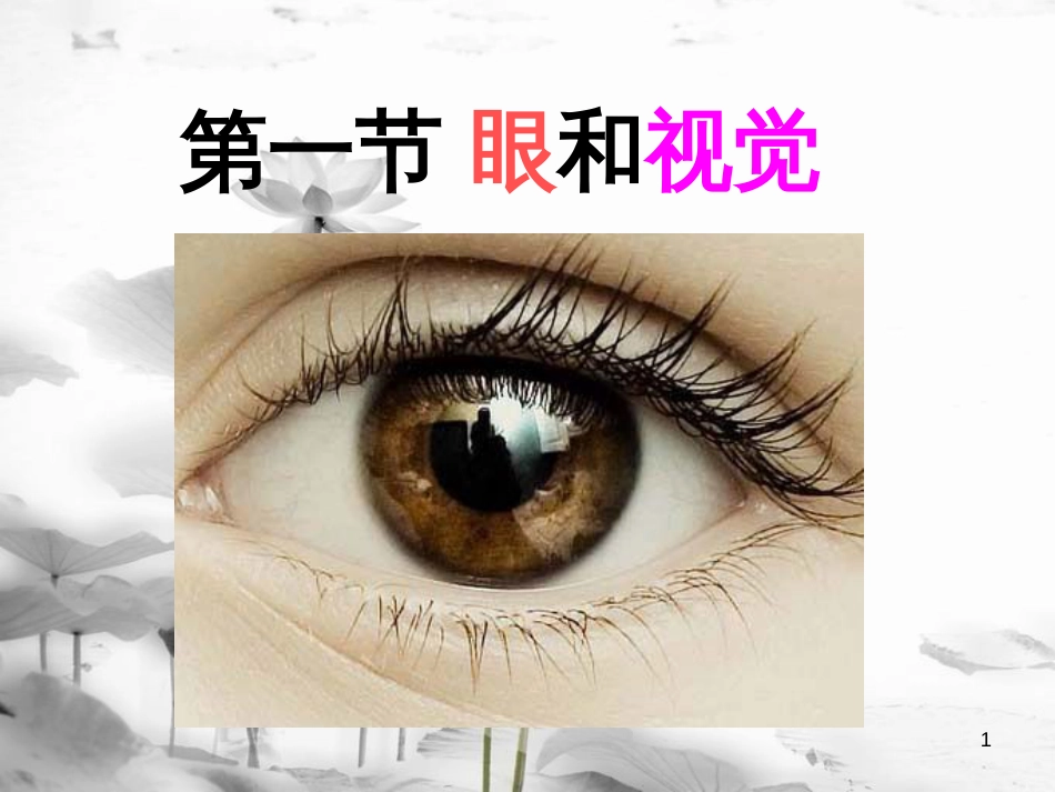 八年级科学下册 3.1 眼和视觉课件 （新版）华东师大版[共35页]_第1页