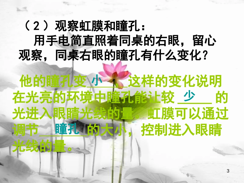 八年级科学下册 3.1 眼和视觉课件 （新版）华东师大版[共35页]_第3页