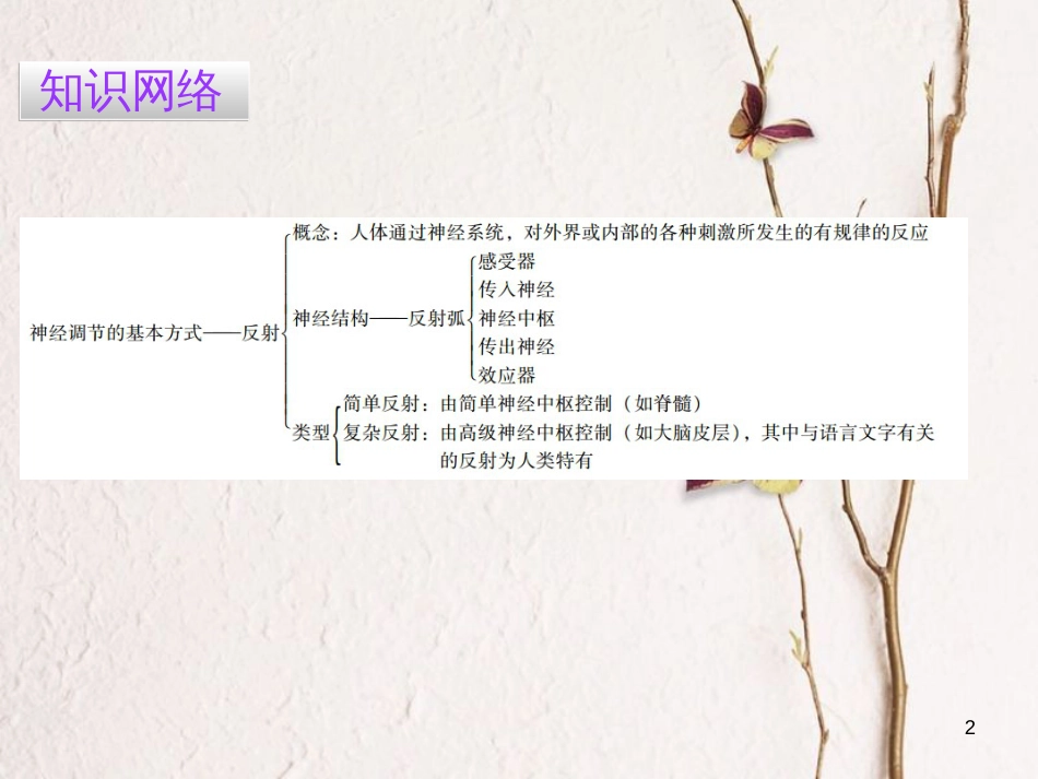 广东省七年级生物下册 第6章 第三节 神经调节的基本方式导练课件 （新版）新人教版_第2页