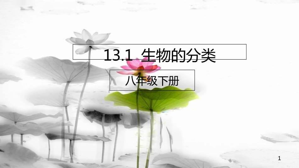 八年级生物下册 13.1 生物的分类课件 北京课改版[共21页]_第1页