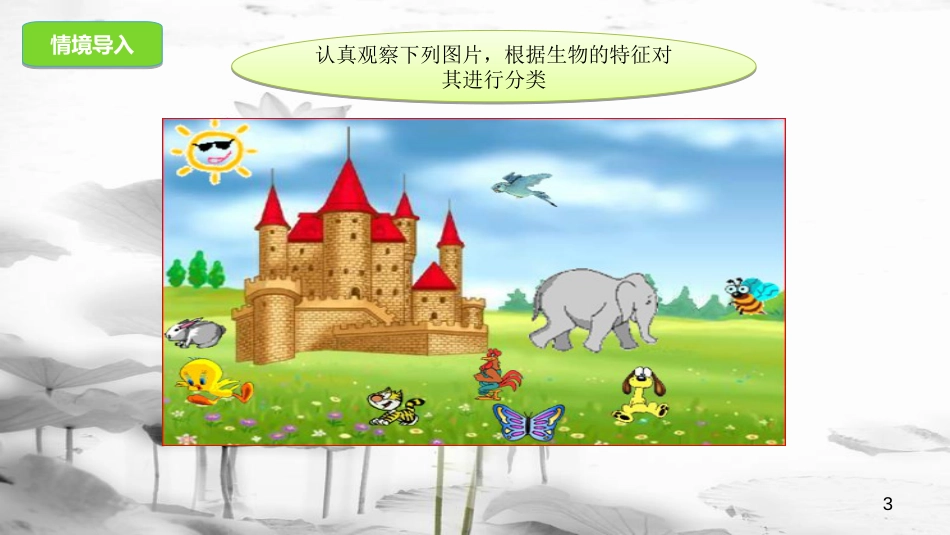 八年级生物下册 13.1 生物的分类课件 北京课改版[共21页]_第3页