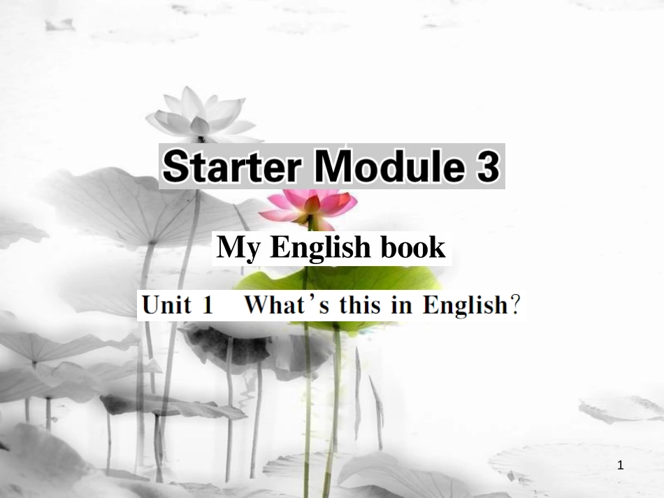 tamAAA七年级英语上册 Starter Module 3 My English book Unit 1 Whats this in English课件 （新版）外研版_第1页