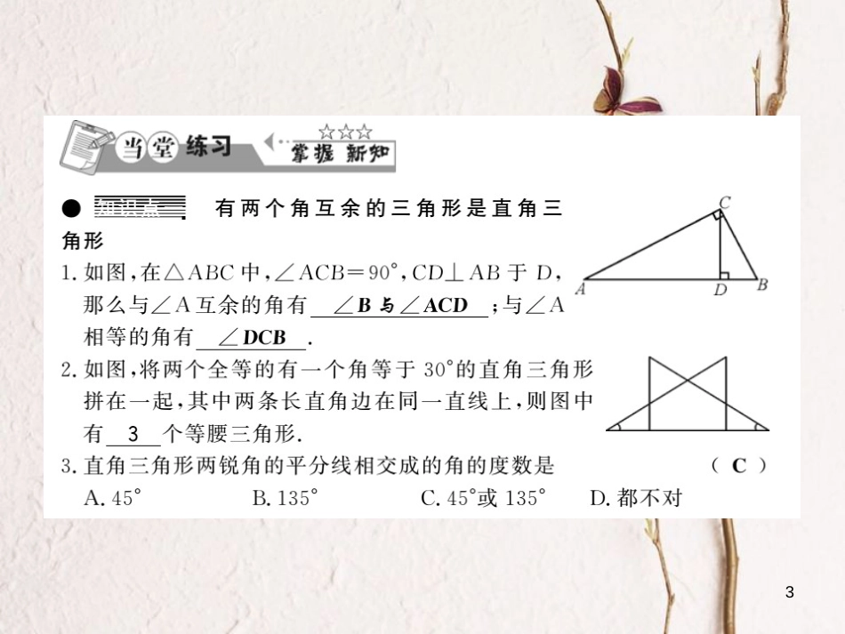 八年级数学下册 第1章 直角三角形 1.1 直角三角形的性质与判定（Ⅰ）（第1课时）习题课件 （新版）湘教版_第3页