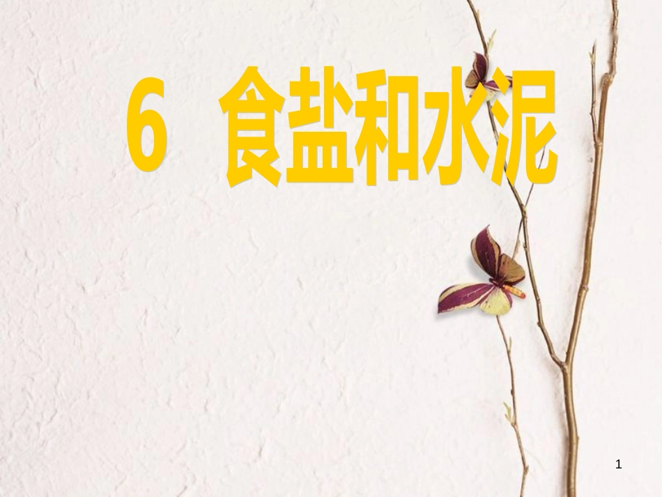 六年级科学上册 食盐和水泥课件10 青岛版[共23页]_第1页