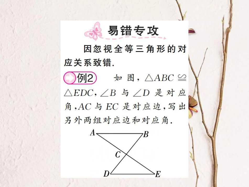 八年级数学上册 2.5 全等三角形 第1课时 全等三角形及其性质课件 （新版）湘教版_第2页