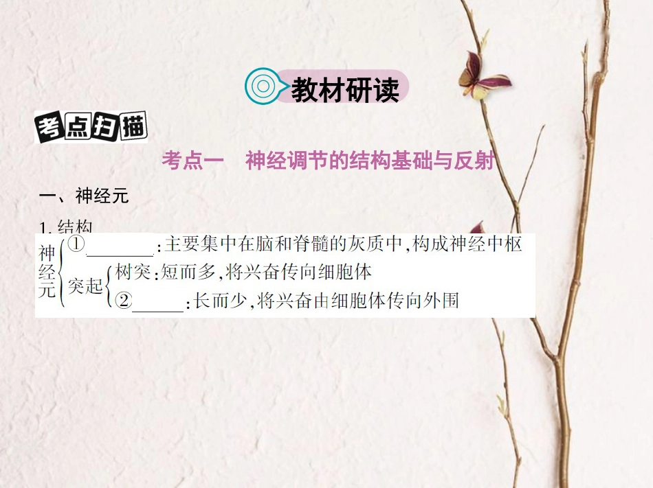 （新课标）高考生物一轮复习 稳态与环境 第8单元 生命活动的调节 第24讲 神经调节课件（必修3）[共49页]_第2页