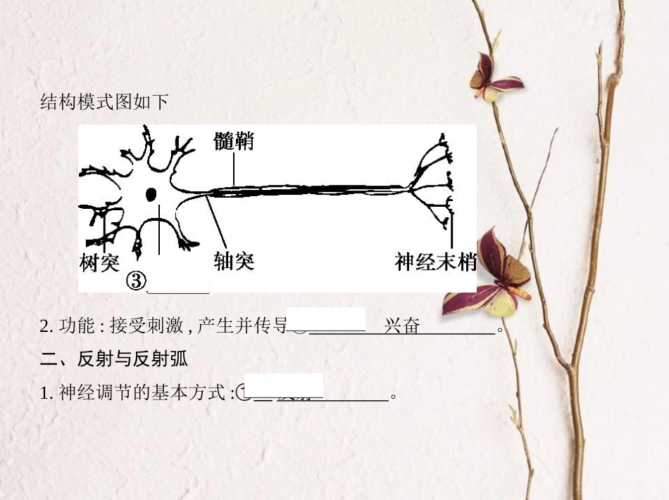 （新课标）高考生物一轮复习 稳态与环境 第8单元 生命活动的调节 第24讲 神经调节课件（必修3）[共49页]_第3页