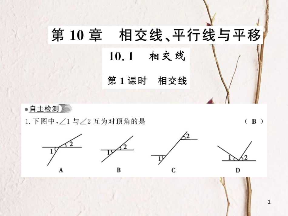 七年级数学下册 10.1 相交线 第1课时 相交线课件 （新版）沪科版_第1页