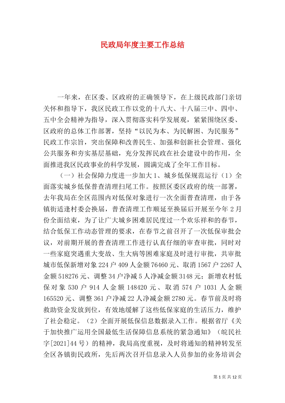 民政局年度主要工作总结_第1页