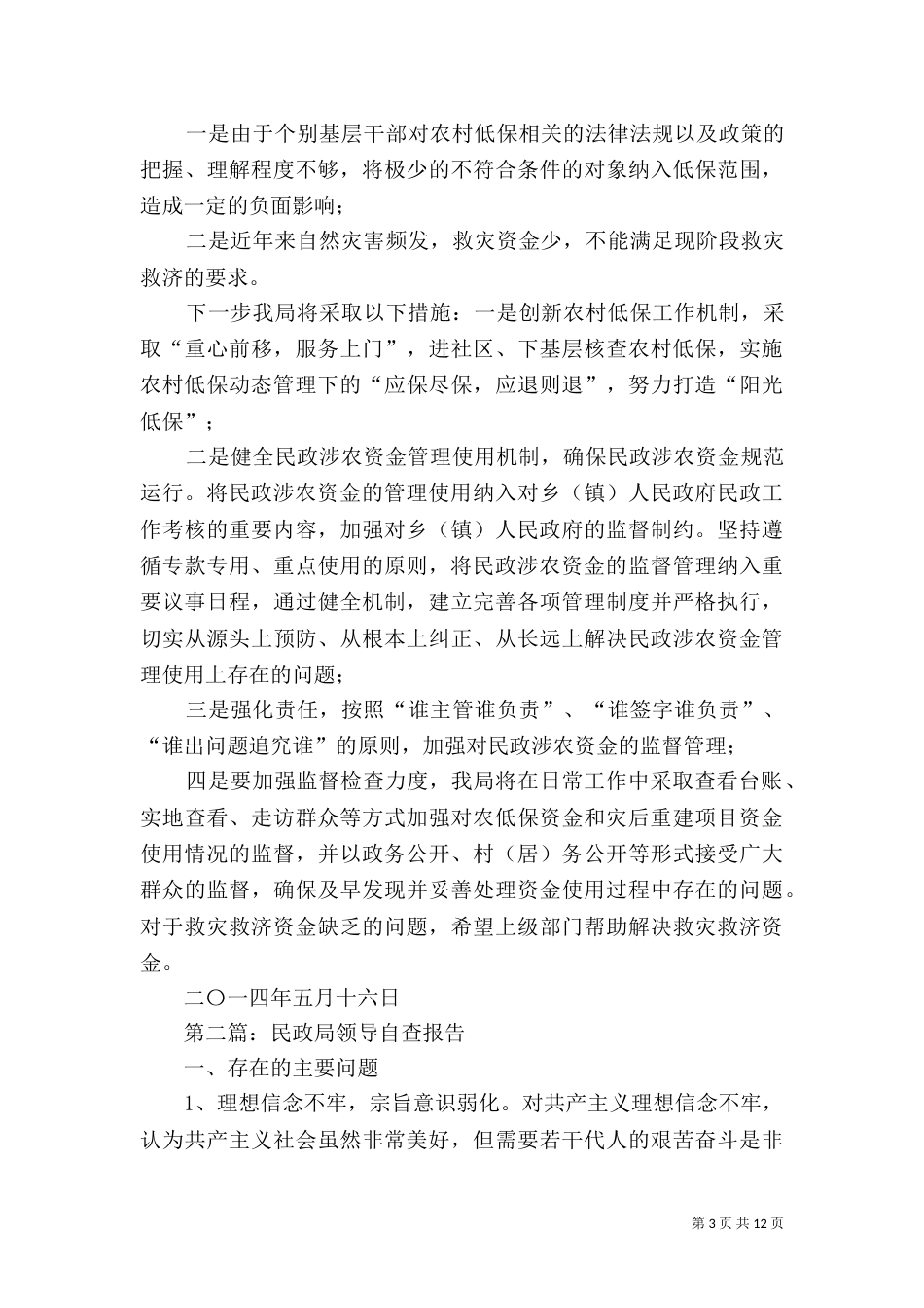 民政局资金自查报告_第3页