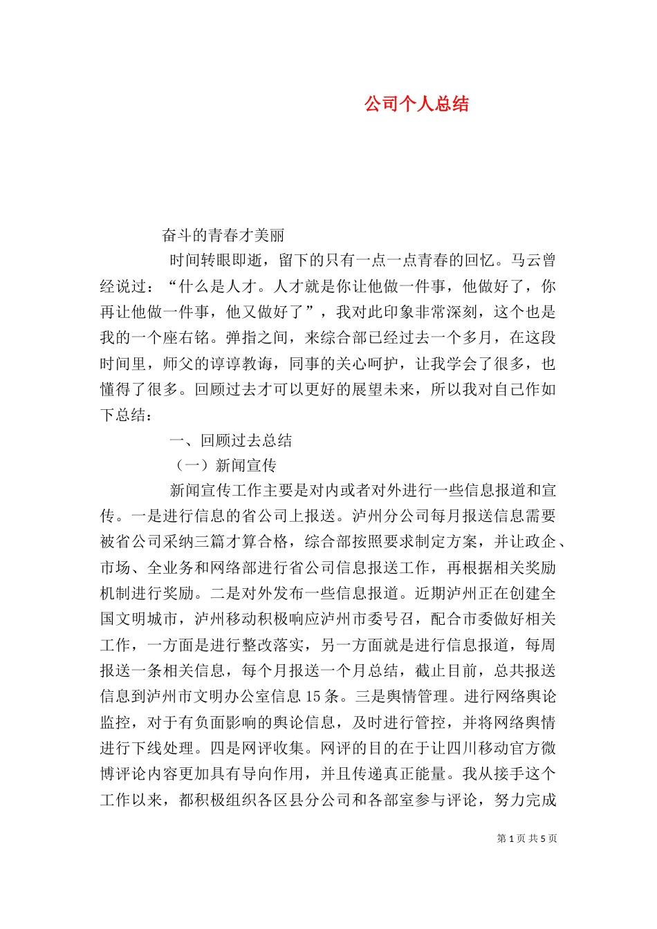 公司个人总结（一）_第1页