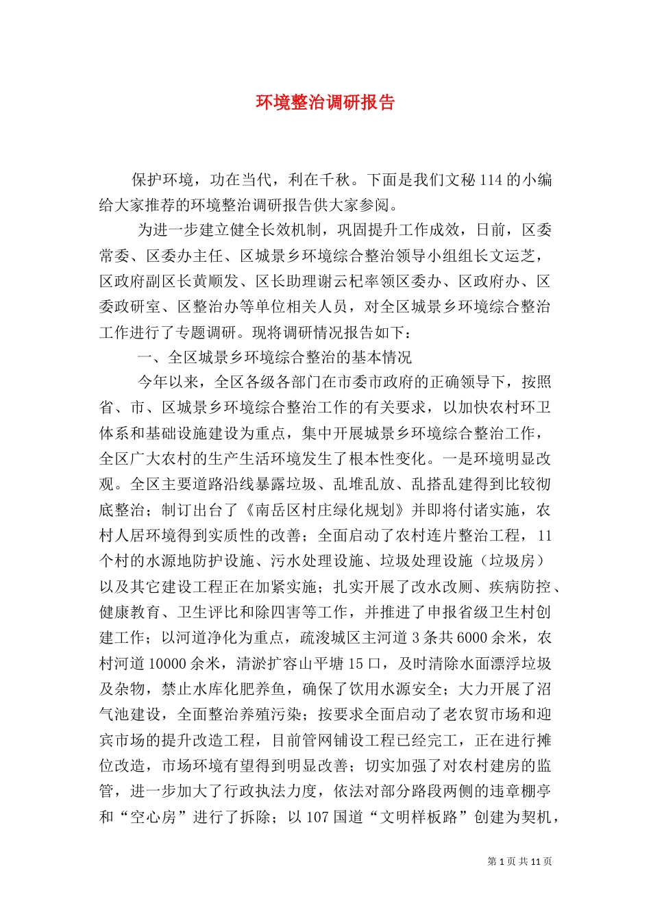 环境整治调研报告（四）_第1页