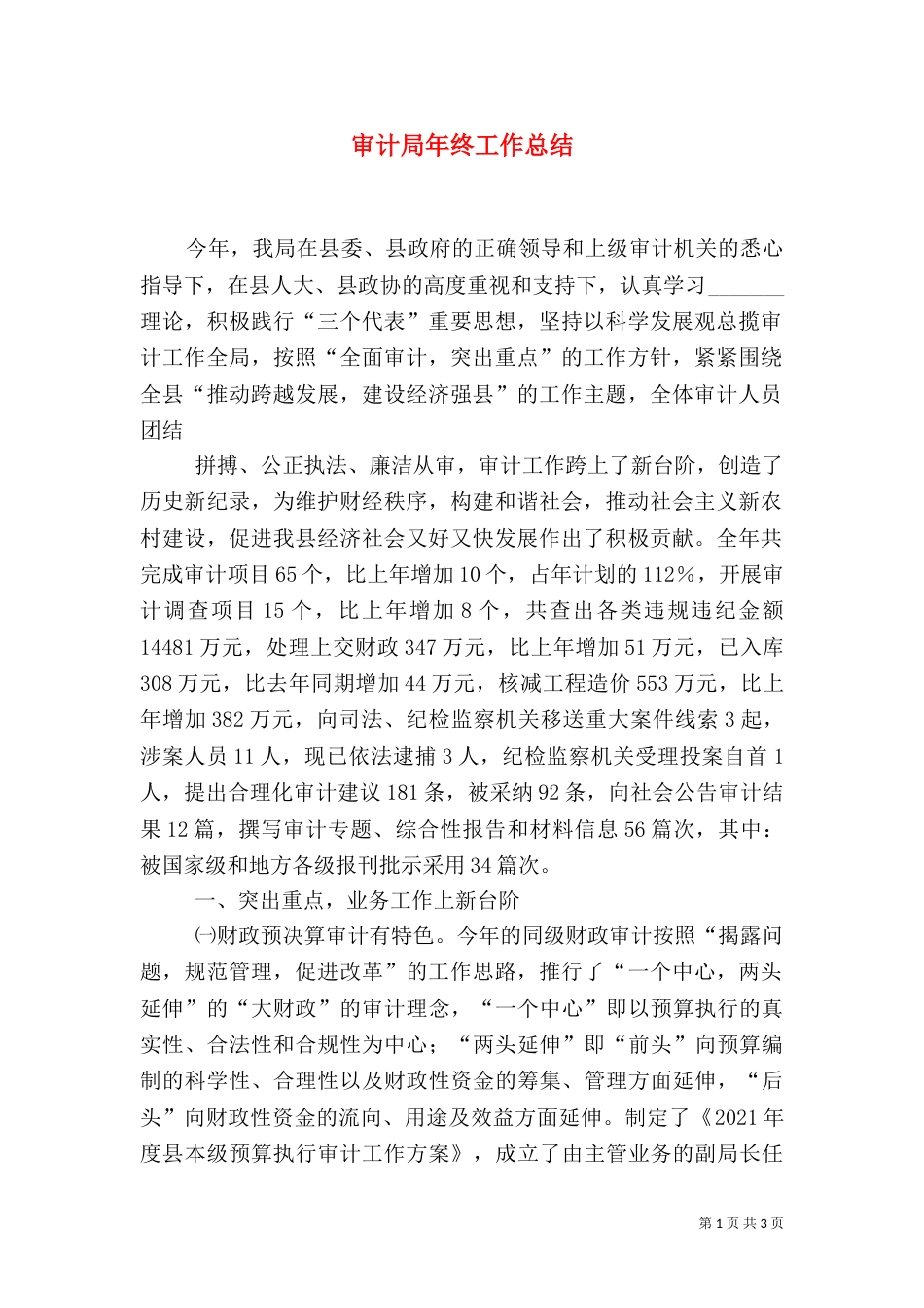 审计局年终工作总结_第1页