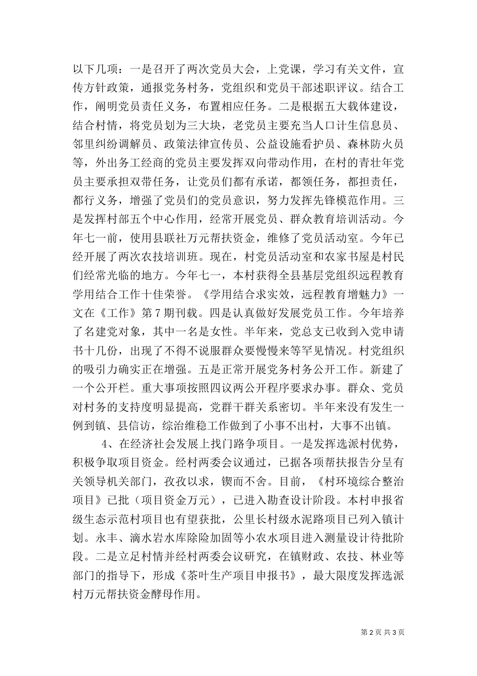 驻村干部工作总结（十）_第2页