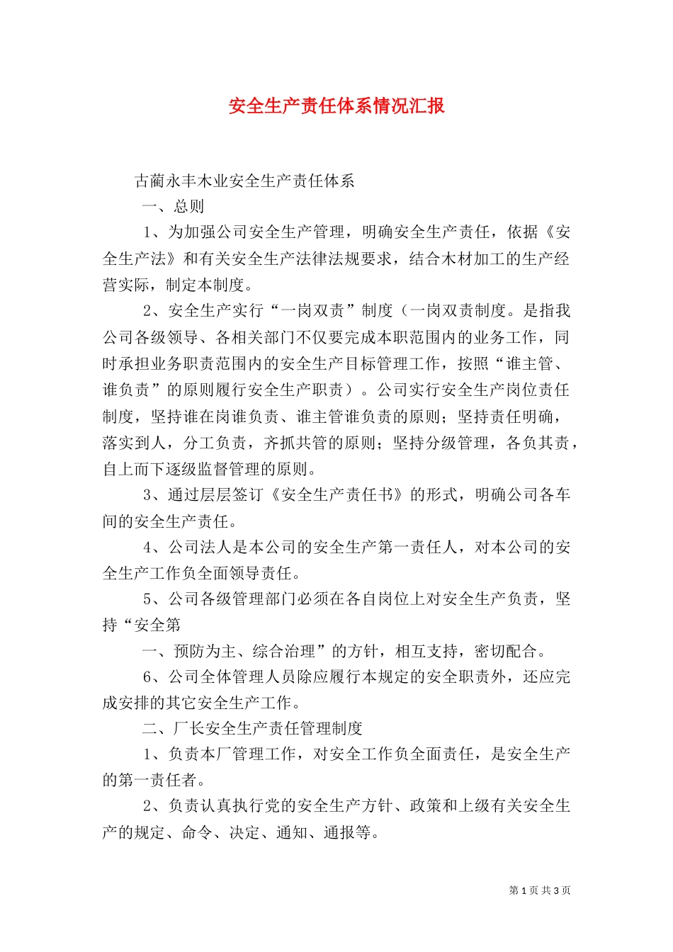 安全生产责任体系情况汇报（二）_第1页
