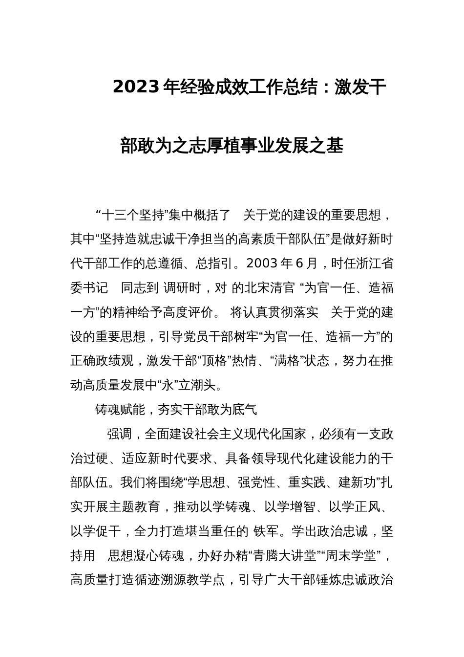 2023年经验成效工作总结：激发干部敢为之志厚植事业发展之基_第1页