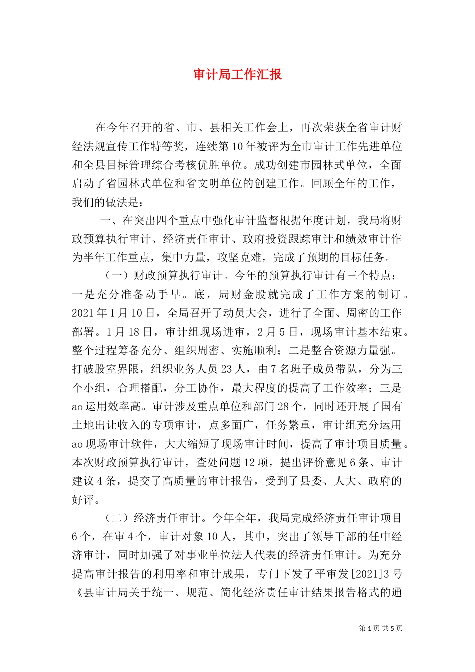 审计局工作汇报（一）_第1页