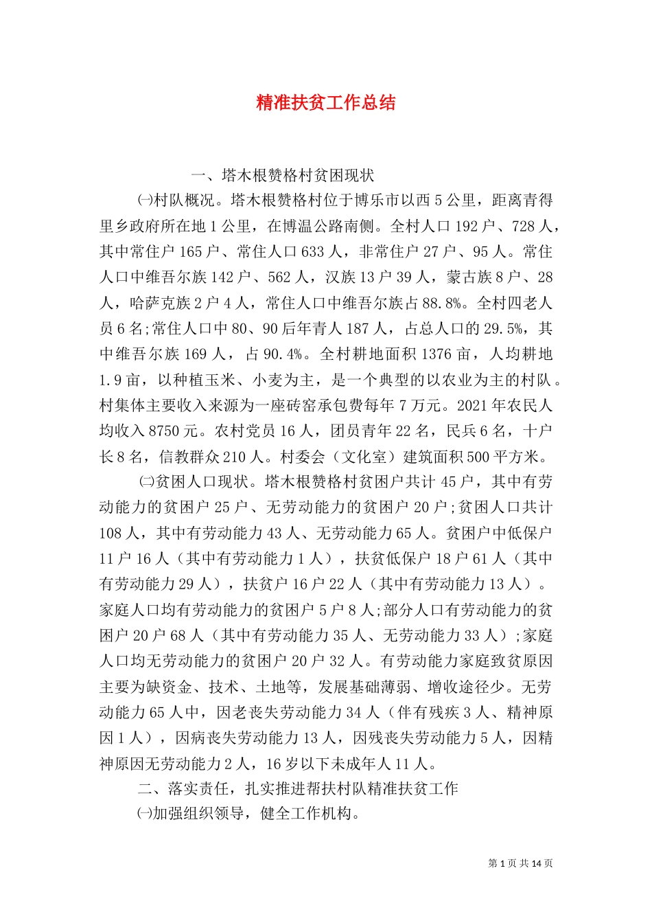 精准扶贫工作总结（五）_第1页