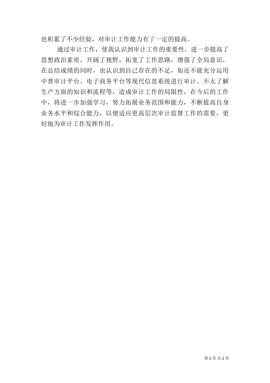 审计员年终总结范文_第2页